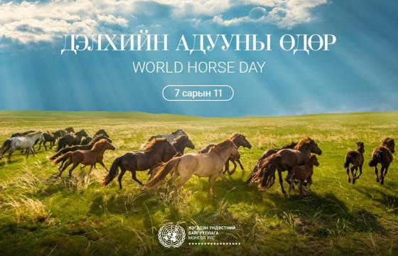 “Дэлхийн адууны өдөр”-ийг долдугаар сарын 11-13-ны өдрүүдэд  тэмдэглэнэ