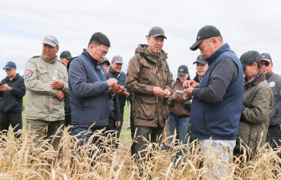 ЦАГААННУУР СУМЫН ГАЗАР ТАРИАЛАНГИЙН БҮТЭЭГДЭХҮҮН ҮЙЛДВЭРЛЭЛ 30–50 ТЭРБУМ ТӨГРӨГТ ХҮРЧ БАЙНА