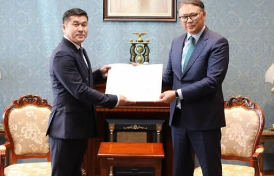 Консулын патент гардуулав