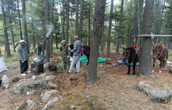 Байгаль хамгаалагчид 50 орчим иргэнийг уулнаас буулгалаа