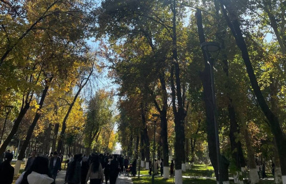 ЦАГ АГААР: Улаанбаатарт өдөртөө 17 хэм дулаан байна