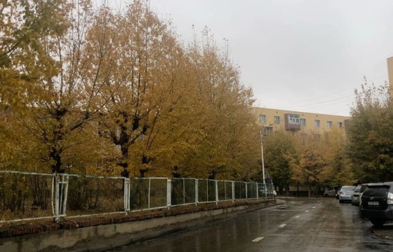 ЦАГ АГААР: Улаанбаатарт өдөртөө 13 хэм дулаан байна