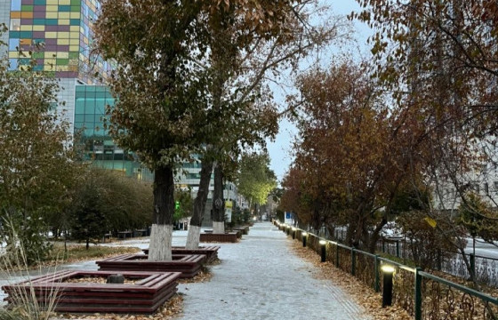 ЦАГ АГААР: Улаанбаатарт өдөртөө 11 хэм дулаан байна